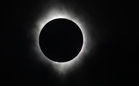 Missed the total solar eclipse? Watch video of key moments.