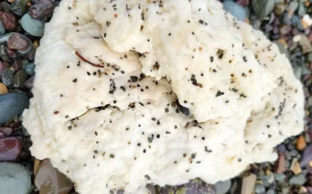 Mysterious white blobs washing up on Canadian beaches stump experts