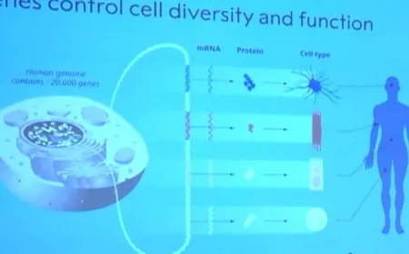 MicroRNA discovery in worms leads to Nobel Prize in medicine